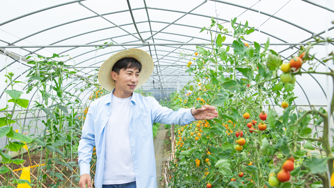 鼎宸环保为果蔬基地处理地下水、直饮水+软化系统净饮水解决方案
